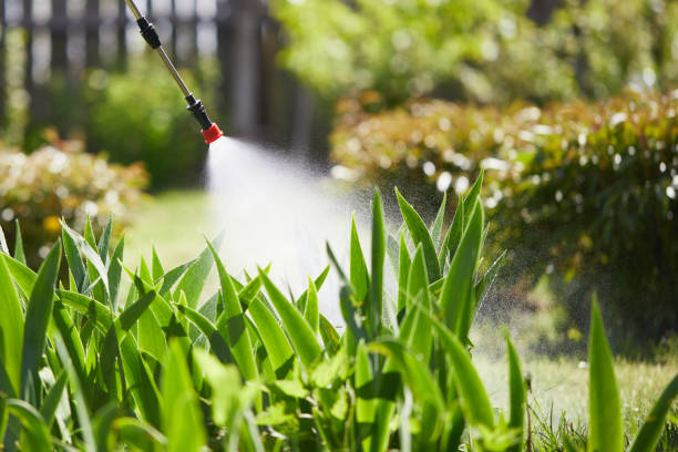 Tamper-Resistant Bait Stations for Rodents in Richfield