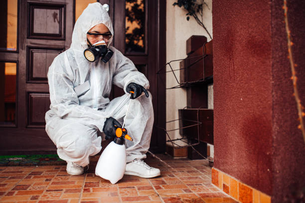 Attic and Crawl Space Rodent Treatment in Richfield