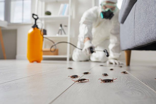 Commercial Rodent Management in Richfield